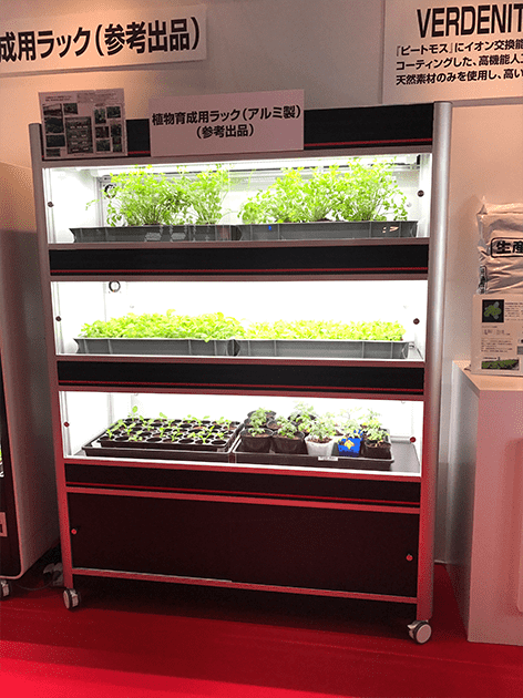 木枠に組み込まれたLEDラックで育つ葉物野菜